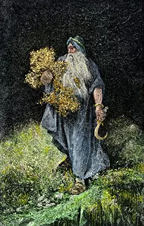 British history Gallery: Druid carrying mistletoe