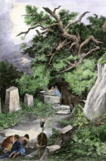 Ritual Gallery: Druid religious ceremony in ancient Gaul