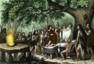 Pre Historic Gallery: Druids collecting sacred mistletoe