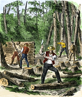 Early settlers of North America clearing land for homes