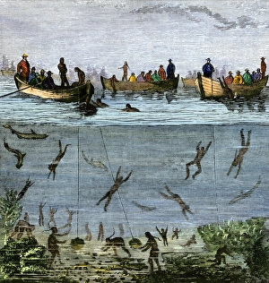 Fish Prints: East Indian divers gathering parls