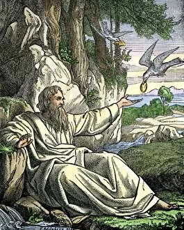 Hebrew Gallery: Elijah in the wilderness