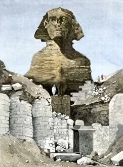 Archaeology Collection: Excavating the Sphinx, 1880s
