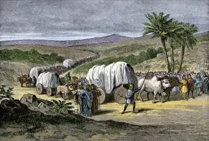 Oxen Gallery: Exodus from Egypt of the Hebrew people