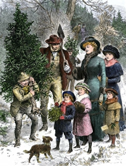 Forest Prints: Family bringing home their Christmas tree and mistletoe