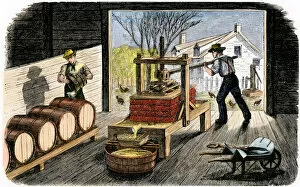 Barn Gallery: Farmers making apple cider, 1800s