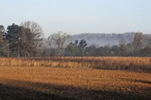 Alabama Collection: Field of red clay soil in Alabama