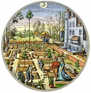 Medieval Collection: Formal garden of the late Middle Ages