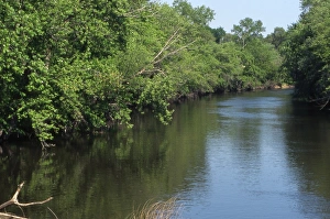 Midwestern Gallery: Fox River near Princeton, Wisconsin