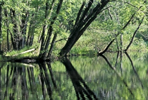 Midwestern Gallery: Fox River, Wisconsin