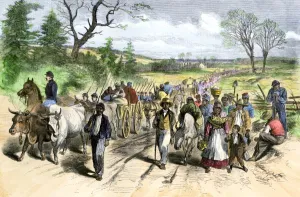 Oxen Gallery: Freed slaves escaping after the Emancipation Proclamation