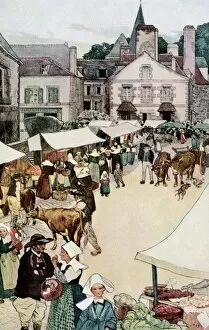 Oxen Gallery: Frrench village on market-day