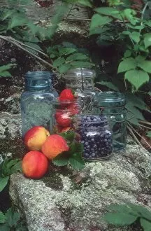Household Chore Gallery: Fruit for home canning
