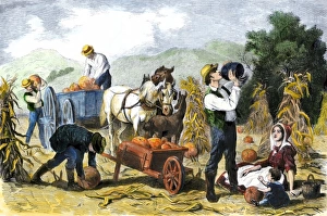 Connecticut Prints: Gathering pumpkins, an October scene in New England