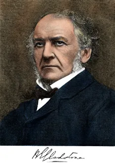 Images Dated 6th December 2011: Gladstone