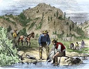 Gold Rush prospectors washing sediments from a stream to find nuggets in
