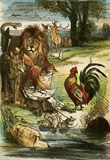 Lion Gallery: Grimms Fairy Tales illustration