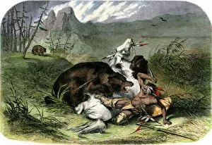 Native Americans Gallery: Grizzly bear attacking a Pawnee hunter