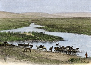 Arid Prints: Herder watering horses
