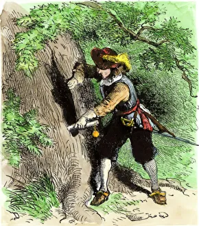 New England Gallery: Hiding the Connecticut charter in an oak tree, 1687