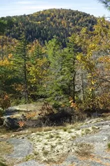 White Mountains National Forest Collection: Hiking trail in the Maine mountains