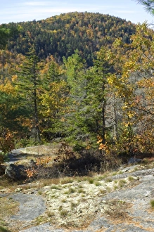 Hiking Collection: Hiking trail in the Maine mountains
