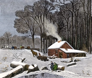 Vermont Prints: Horsedrawn sleds hauling sap in a maple sugar camp 1800s