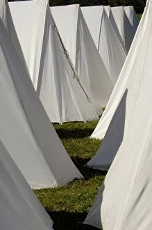 Tent Collection: HOUS2D-00050