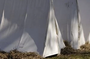 Tent Gallery: HOUS2D-00051