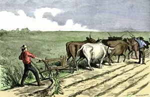 Farming:agriculture Collection: HSET2A-00037