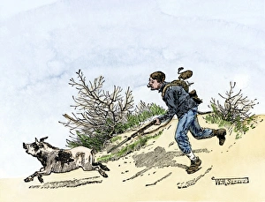 Hunt Prints: Hungry Union soldier chasing a pig during the Wilderness campaign in Virginia