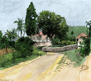 Jamaican plantation houses from a roadside