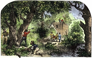 Jamestown Colony Collection: Jamestown colonists building homes, 1607