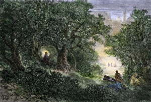 Palestine Gallery: Jesus in the Garden of Gethsemane