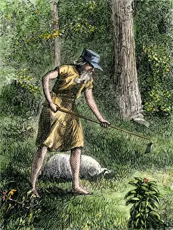 Apple Prints: Johnny Appleseed planting apple trees in the Ohio wilderness