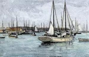 Wharf Gallery: Key West fishing fleet, 1890s
