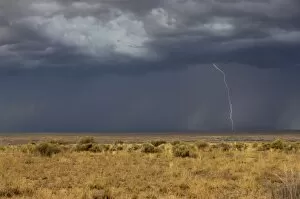 Rain Storm Gallery: Lightning striking the high plains, New Mexico