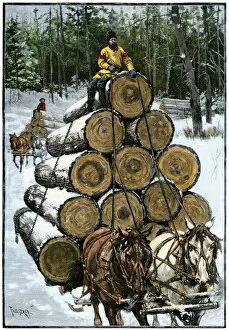 Ox Drawn Gallery: Logging in Wisconsin, 1800s
