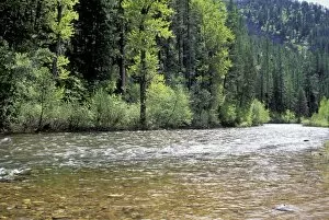 Landscape Gallery: Lolo Creek in the Bitterroot Range, Montana