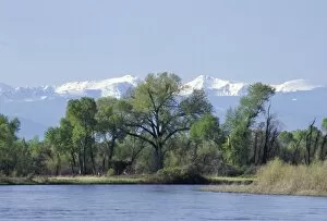 Scenery Gallery: Madison River near its junction to form the Missouri River, Montana