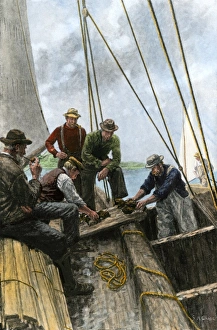 Fish Gallery: Maine lobster catch, early 1900s