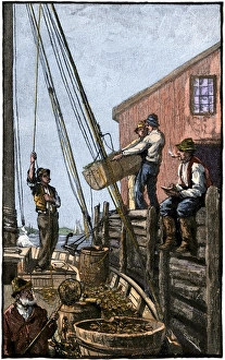 Fish Gallery: Maine lobstermen unloading their catch
