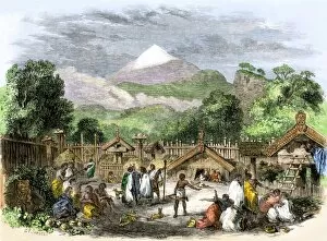 Food Collection: Maori village in New Zealand, 1800s