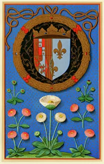 French Gallery: Marguerite de Navarres coat of arms