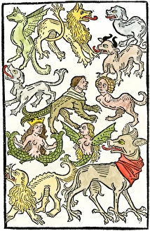 Medieval monsters of land, sea, and air