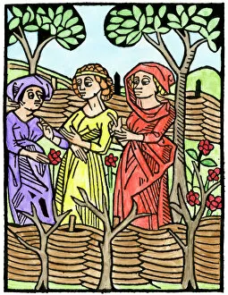 Women Collection: Medieval rose garden
