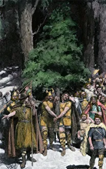Forest Prints: Men bringing the first Christmas tree to the village