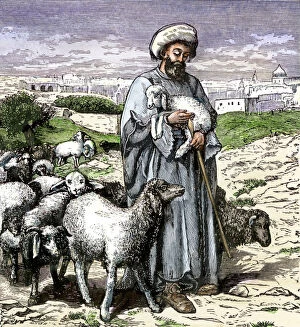 Hebrew Collection: Mideastern shepherd
