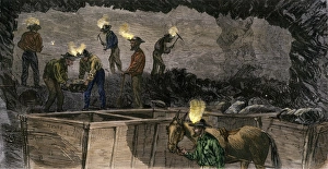 Miners digging and loading coal into an underground mule-drawn cart in