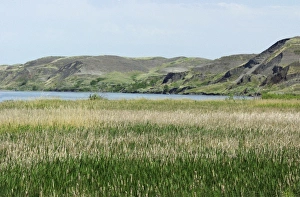 Dakota Prints: Missouri River where Lewis